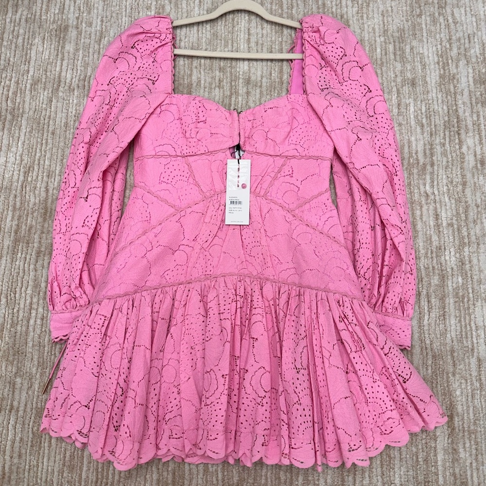 Beautiful pink lace dress with puffy sleeves and gorgeous silhouette!